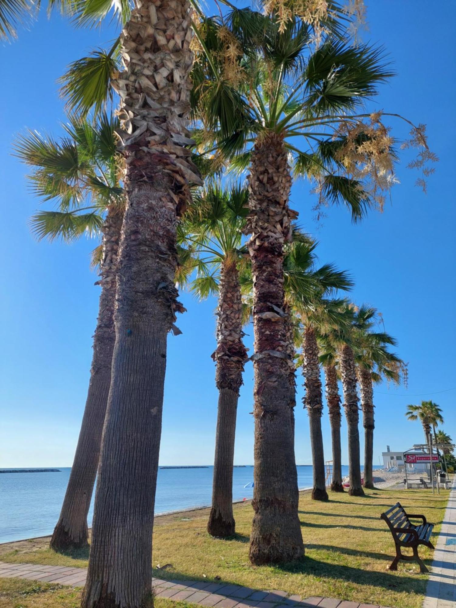 Porto SantʼElpidioLa Conchigliaアパートメント エクステリア 写真